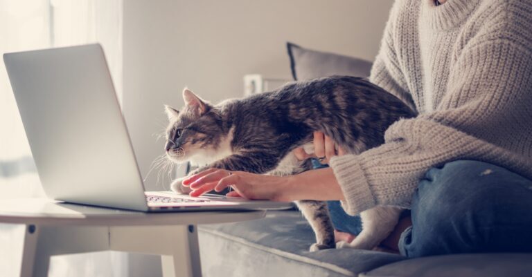 Online work at home