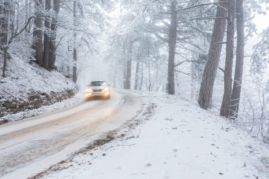A road in the winter forest. Beautiful winter landscape