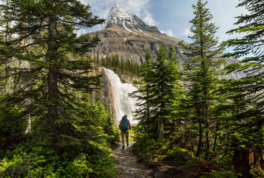 Mt Robson